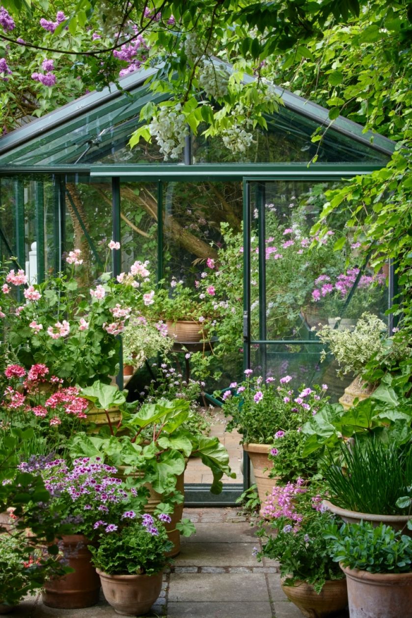 mały ogród ze szklarnią