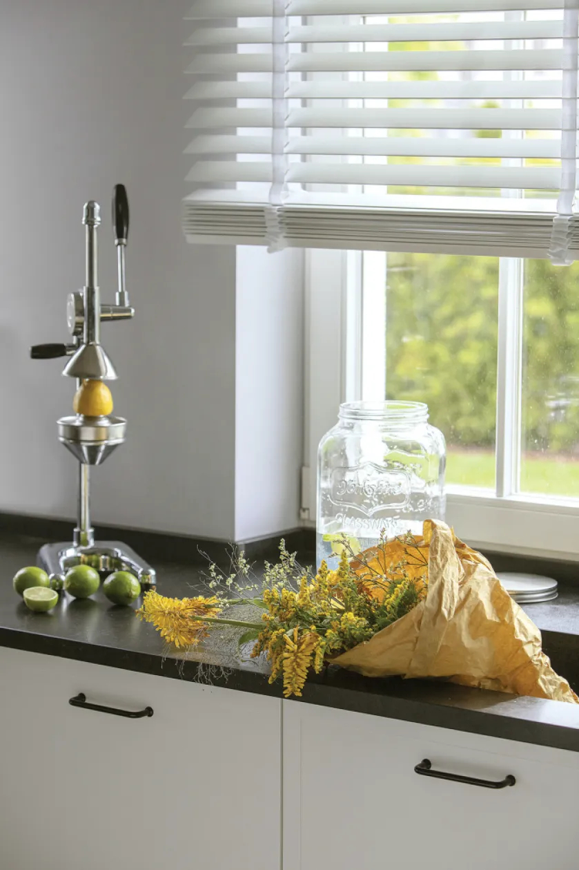 akcesoria kuchenne wyciskarka do cytrusów