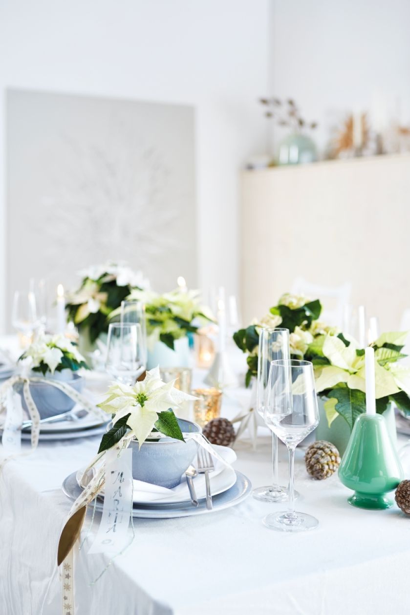 białe gwiazdy betlejemskie dekoracje stołu na święta