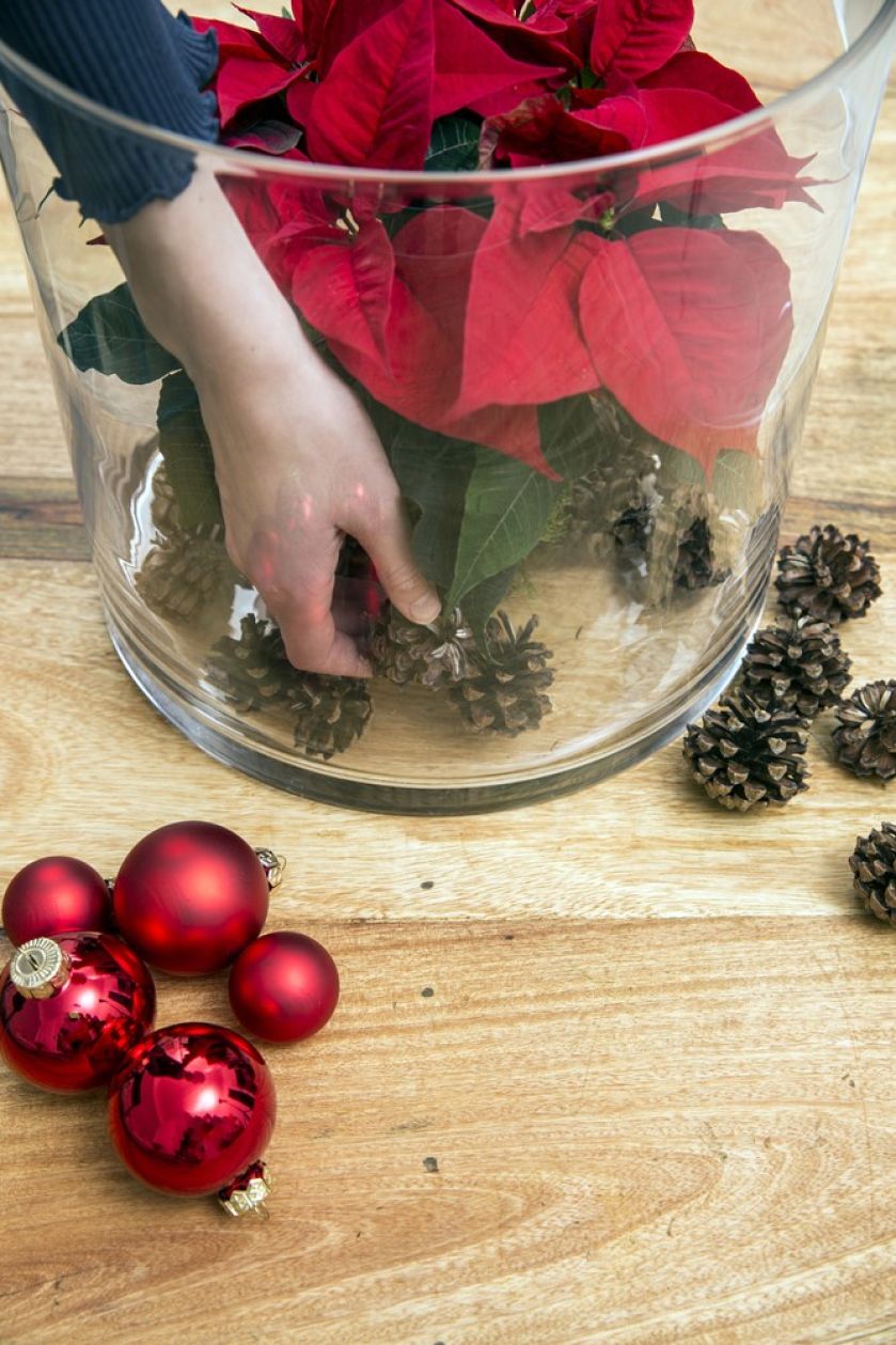 Dekoracje świąteczne DIY – gwiazda betlejemska i ozdoby w wazonach