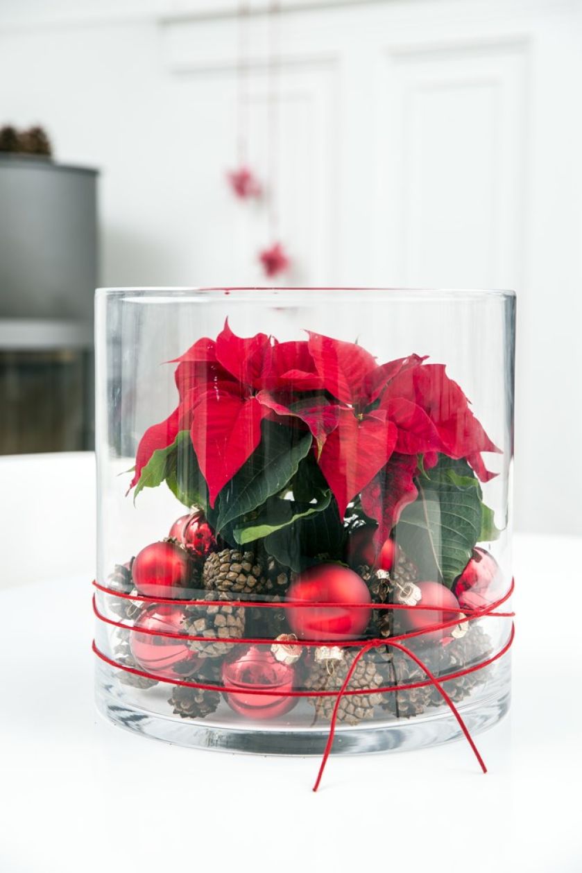 dekoracja bożonarodzeniowa w wazonie