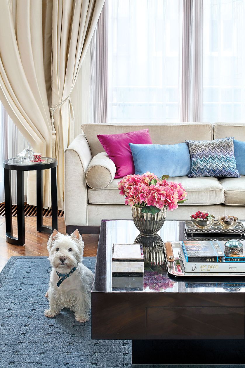 Do zdjęcia pozuje terier Eskort. Apartament w stylu art déco