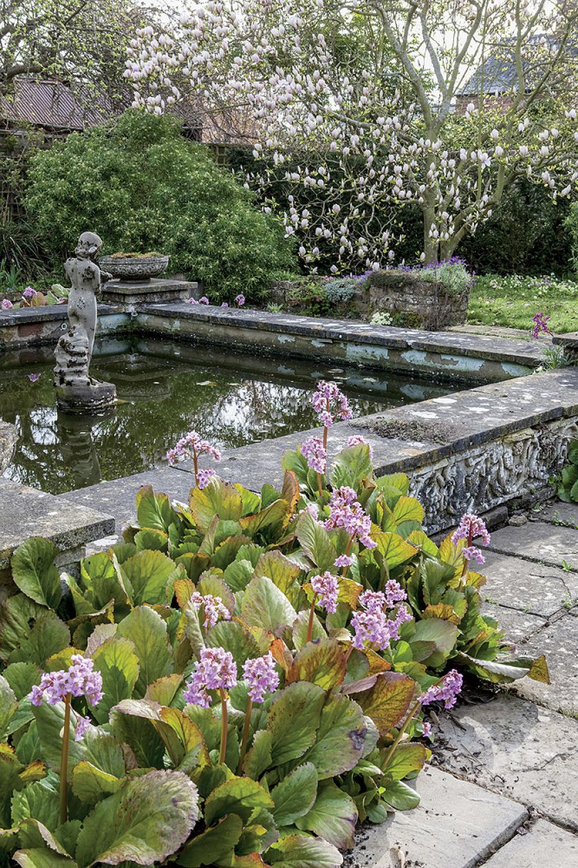 Gdy zakwitną żonkile. Gdy zakwitną żonkile