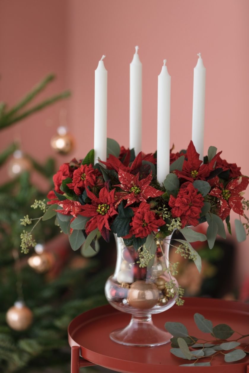 gwiazda betlejemska w wazonie