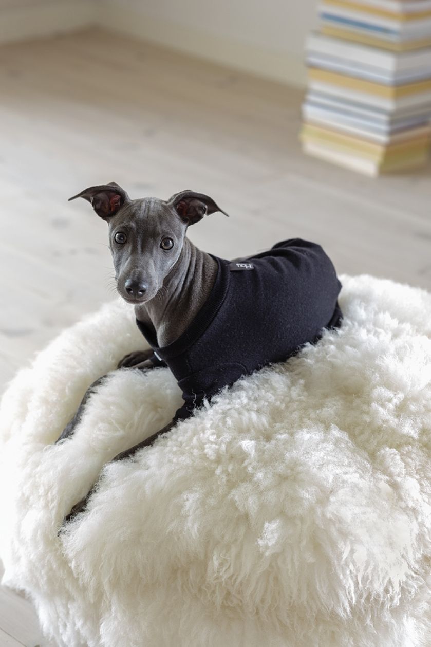 nowoczesny design w starym domu