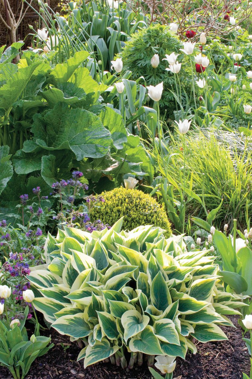 Ogród pośród pól pełnych tulipanów. Trochę tradycyjny i trochę nowoczesny, wyraźnie angielski i ciut holenderski.