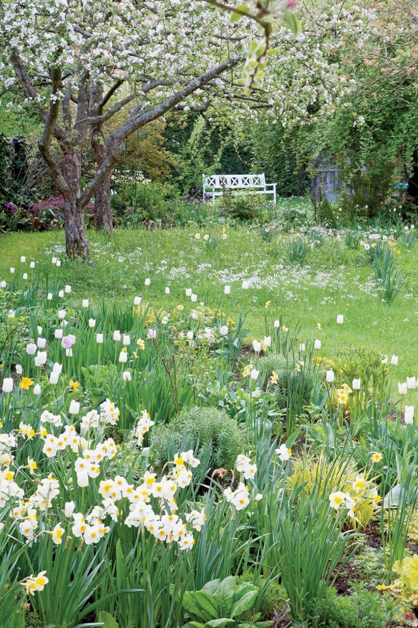 Urządzamy ogród: trendy 2018