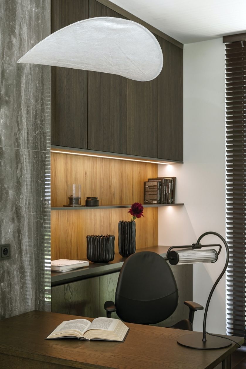 Męskie biuro w domu