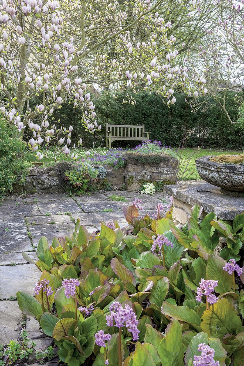 Senne miasteczko Ilmington ożywa dwa razy do roku: wiosną, gdy kwitną sady, i jesienią, kiedy