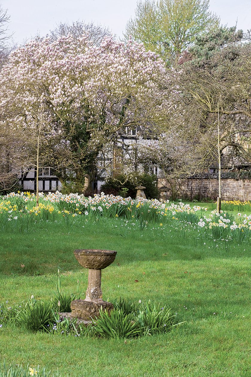 Senne miasteczko Ilmington ożywa dwa razy do roku: wiosną, gdy kwitną sady, i jesienią, kiedy