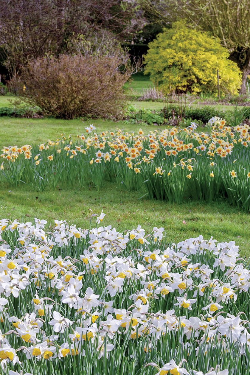 Senne miasteczko Ilmington ożywa dwa razy do roku: wiosną, gdy kwitną sady, i jesienią, kiedy