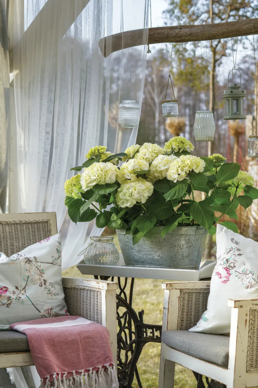dekoracje na balkon w stylu shabby chic