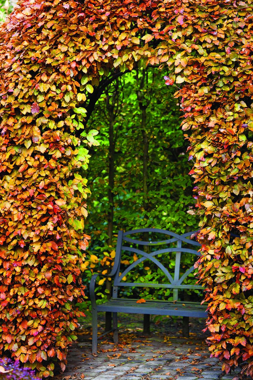Najpiękniejszy jesienny ogród Holandii