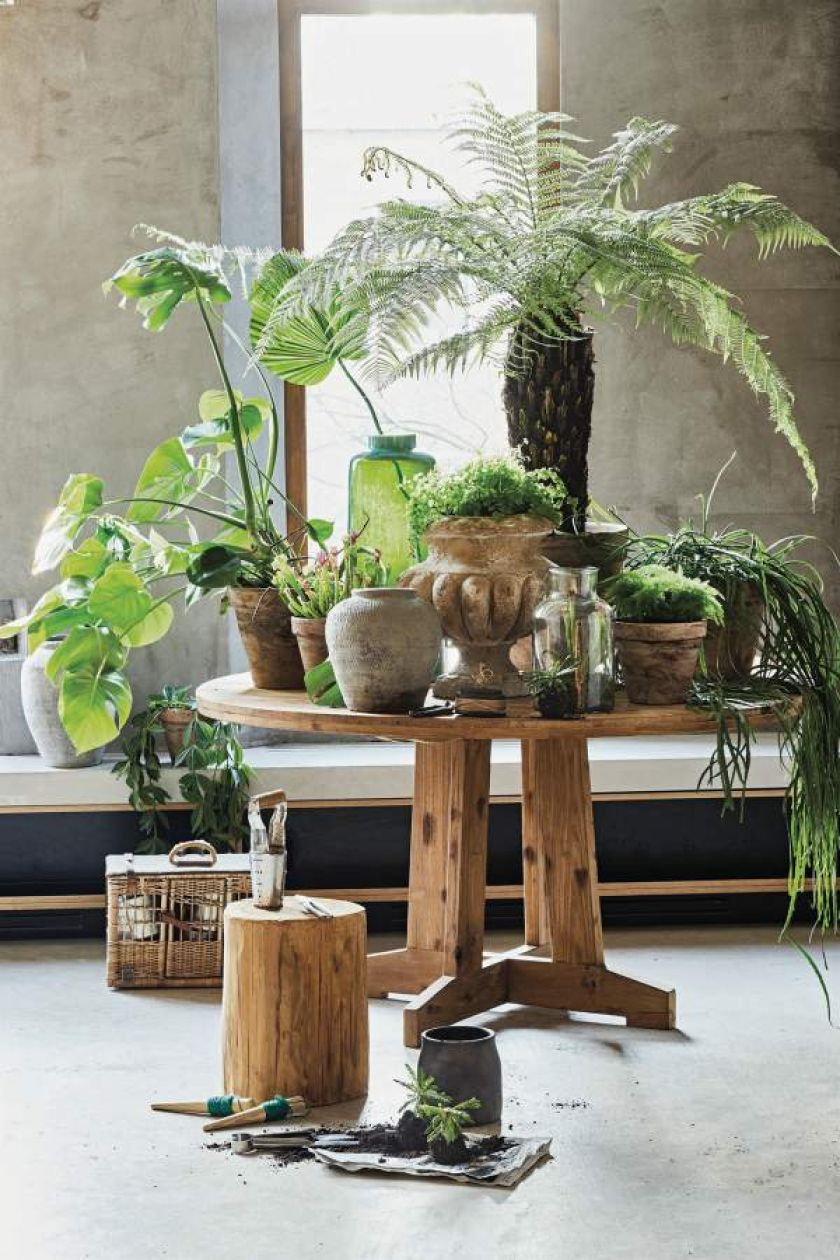 Dekoracje do domu: kwiaty na ścianach, meblach i w doniczkach