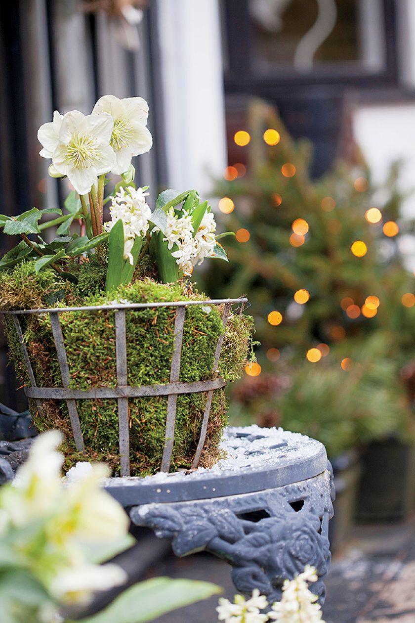 Jak udekorować drzwi: zimowy wieniec i hiacynty