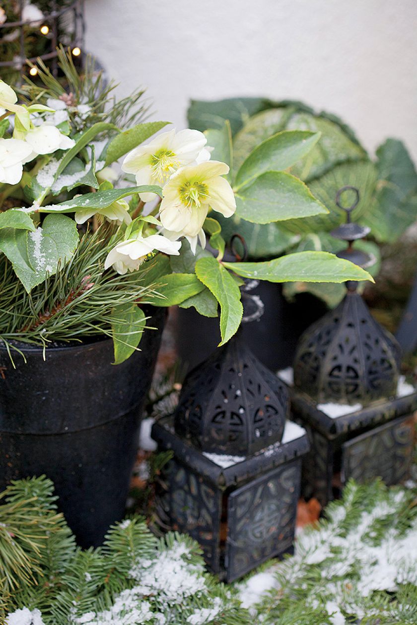 Jak udekorować drzwi: zimowy wieniec i hiacynty