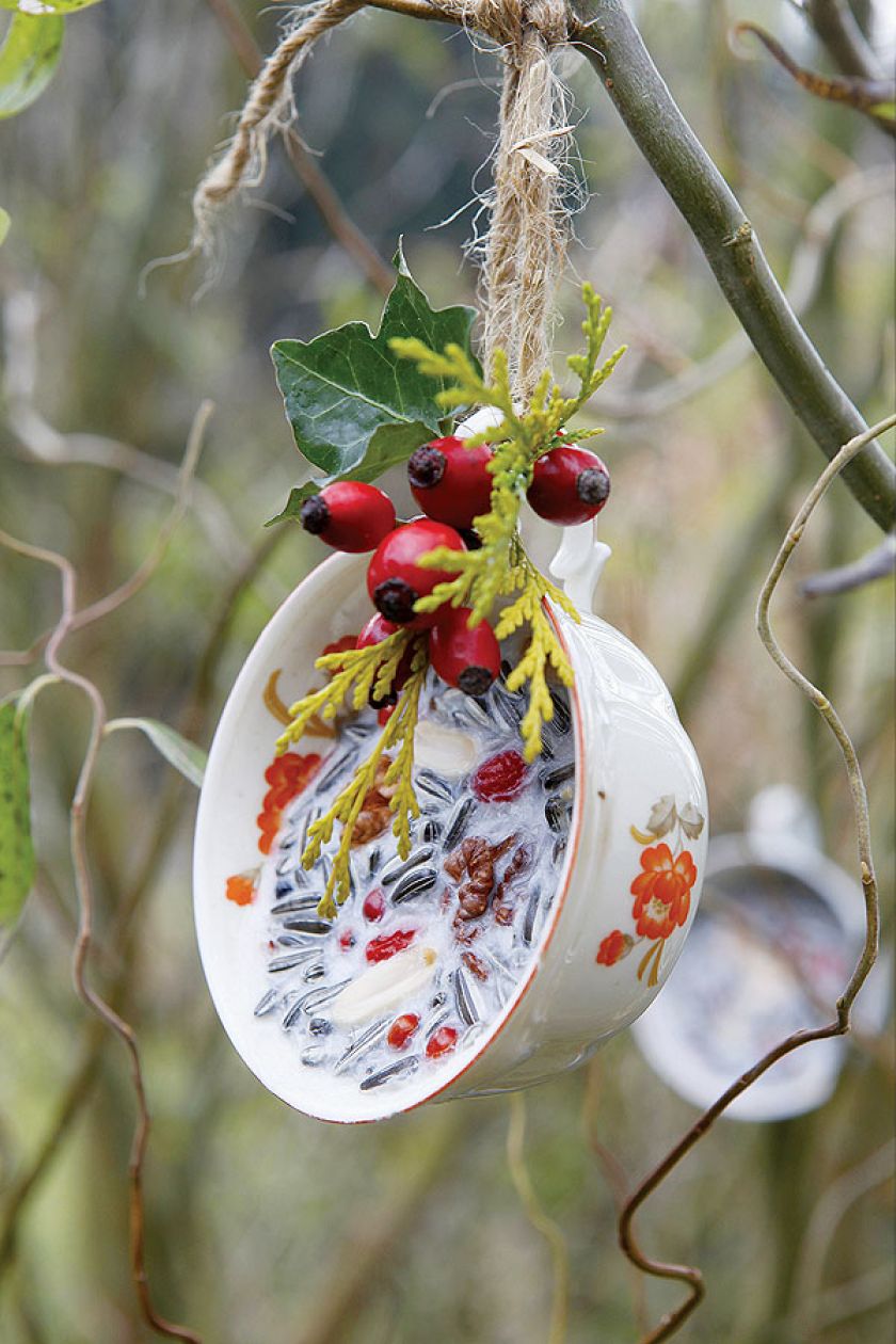 Elegancki karmnik dla ptaków. Drugie życie filiżanki