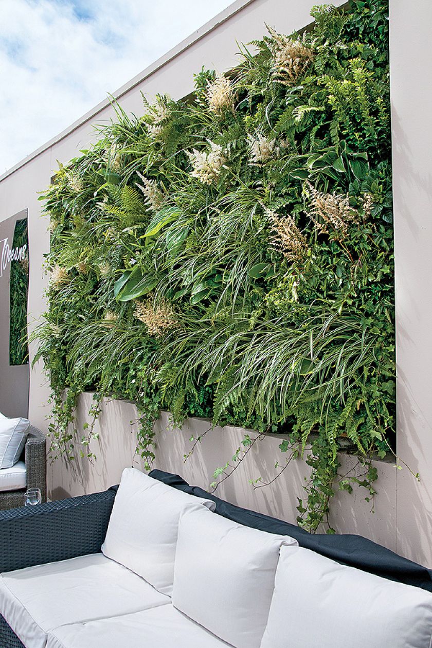 Funkie, bluszcze i tawułka. Ogród na ścianie