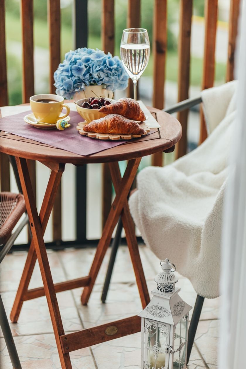 hortensja ogrodowa niebieska