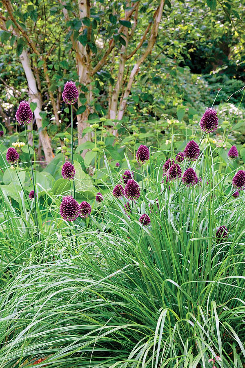 Jeśli myślisz, że wodne ogrody swój nastrój zawdzięczają tylko liliom pływającym po jeziorze, musisz odwiedzić