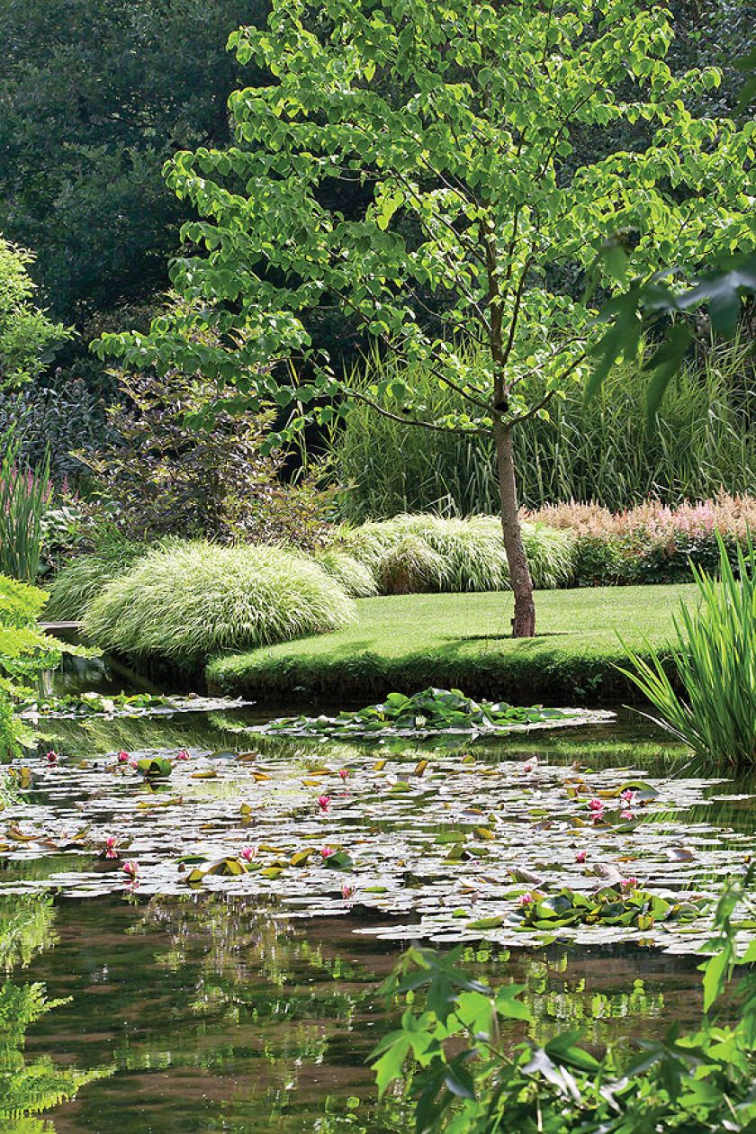 Jeśli myślisz, że wodne ogrody swój nastrój zawdzięczają tylko liliom pływającym po jeziorze, musisz odwiedzić