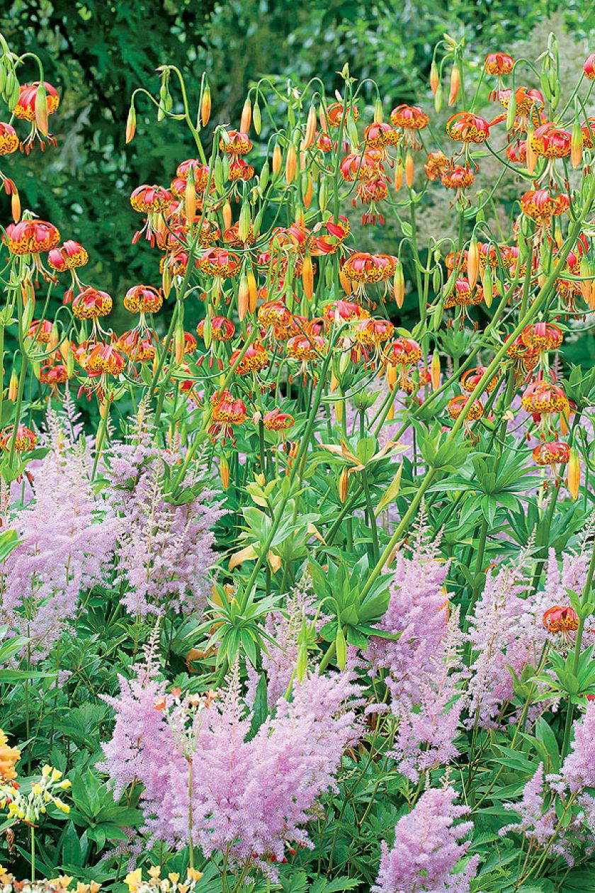 Jeśli myślisz, że wodne ogrody swój nastrój zawdzięczają tylko liliom pływającym po jeziorze, musisz odwiedzić