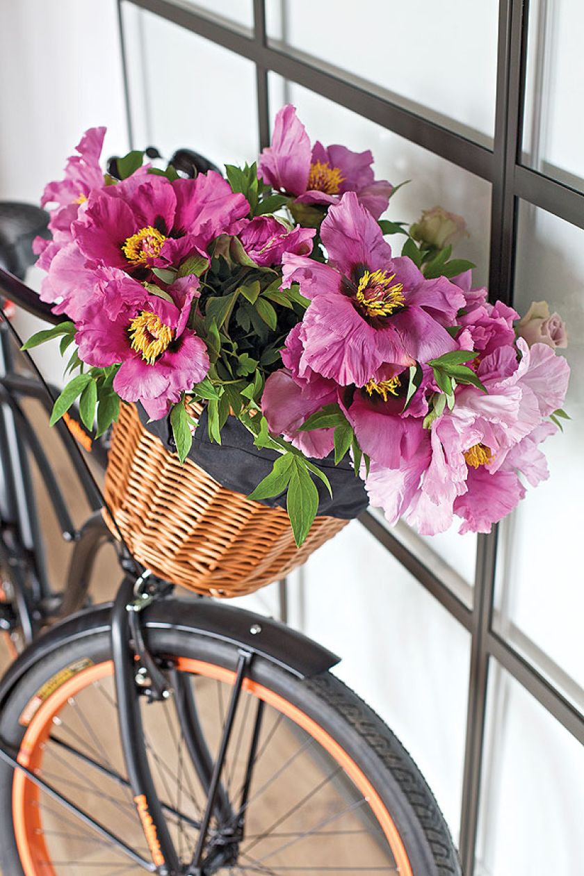 Nowoczesny dom w duńskim stylu