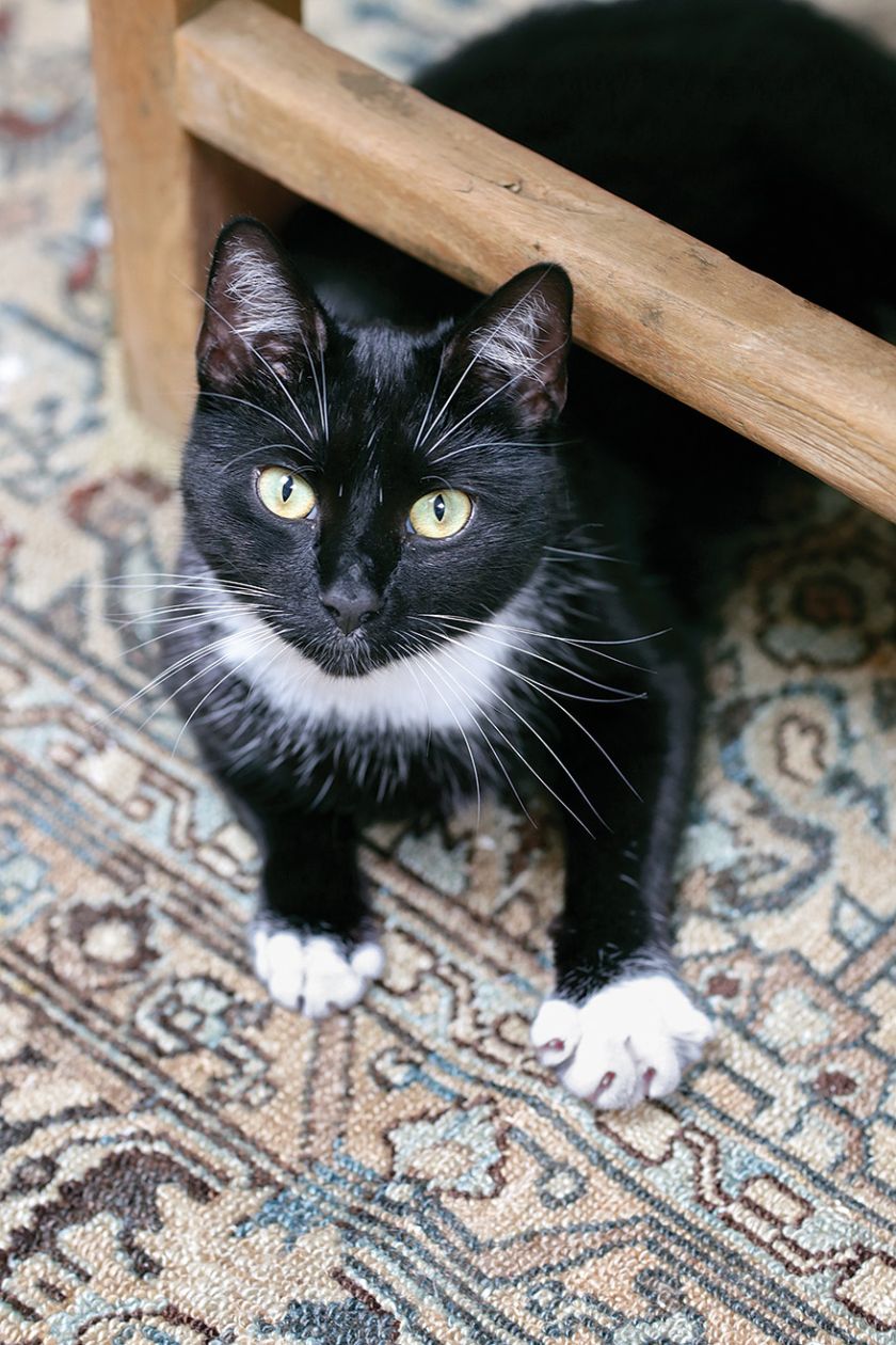 Mało kto rzuca się z zapałem na urządzanie mieszkania na poddaszu, które przypomina tramwaj. Ma długi korytarz i przykryte