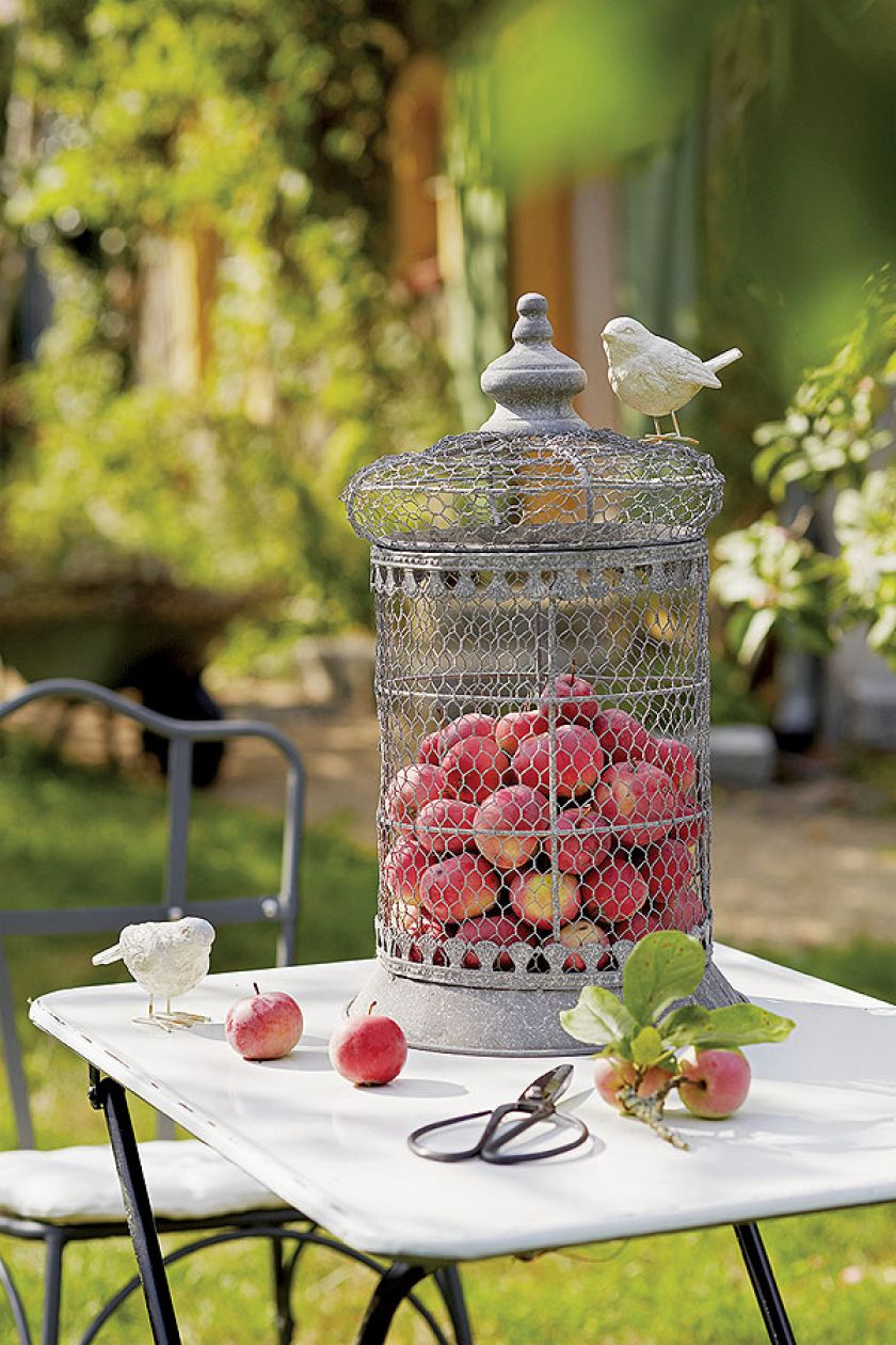 Możemy w niej posadzić kwiaty i zawiesić w oknie, ale także możemy zrobić z niej ażurowy kosz na owoce