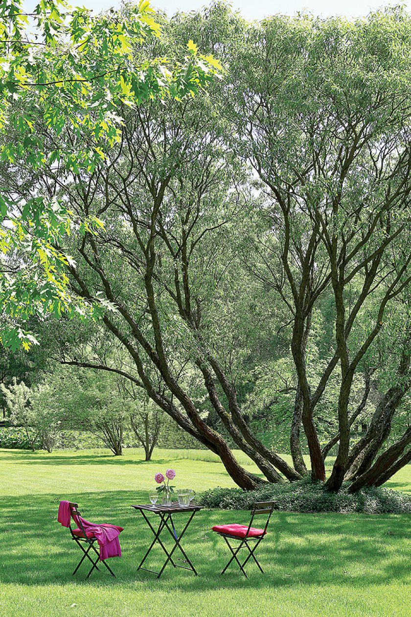 Można się tu poczuć jak w toskańskiej rezydencji, która należy do rodziny od kilkunastu pokoleń.