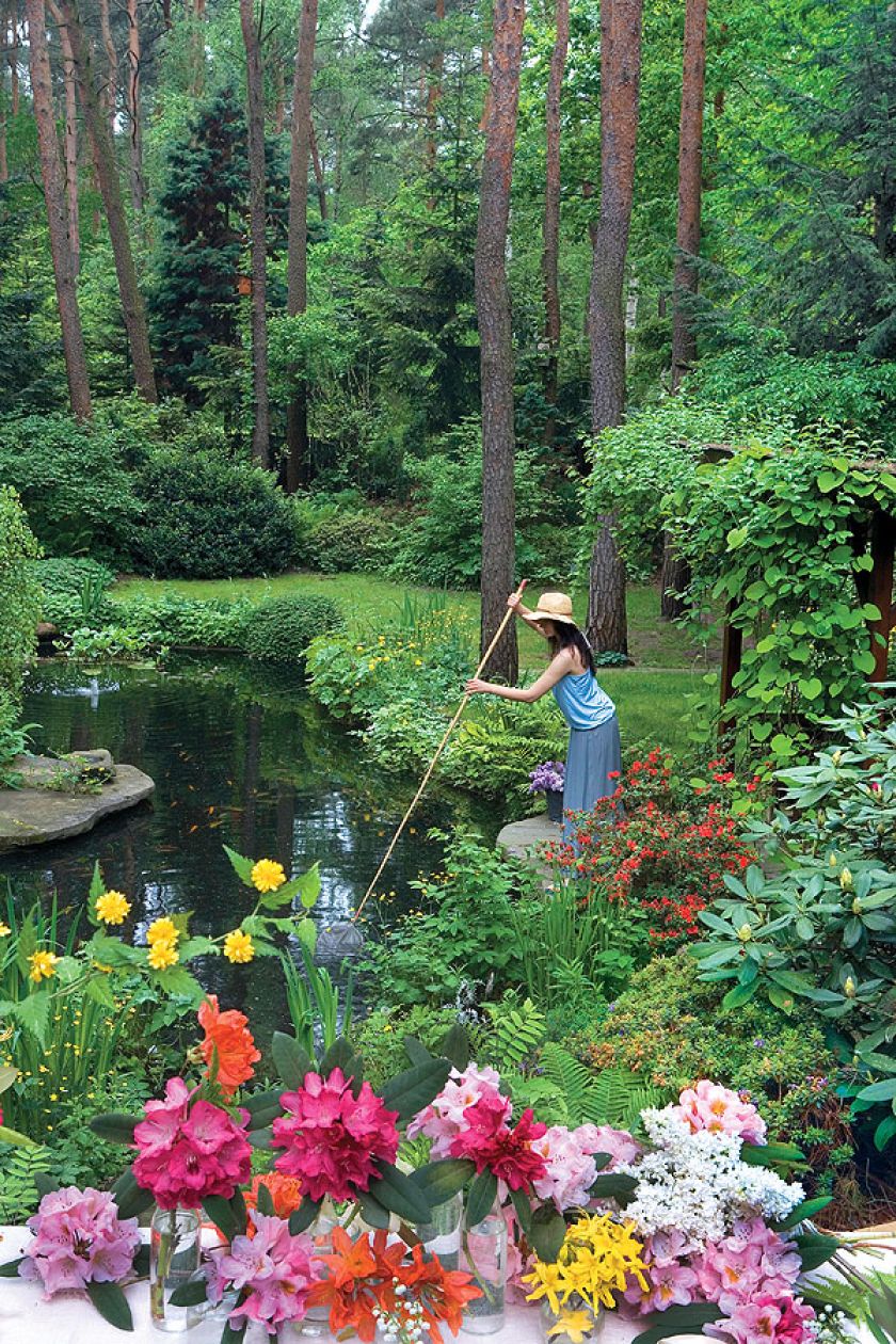 Nad bregiem rosną kosaćce, paprocie, w wodzie pregląda się brzoza.