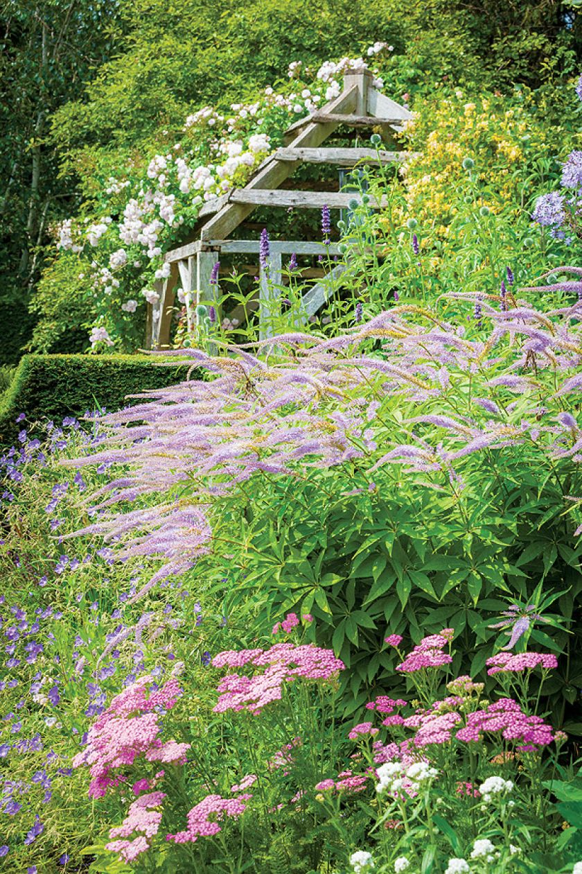 Tulipany, powojniki i szałwie między altanami