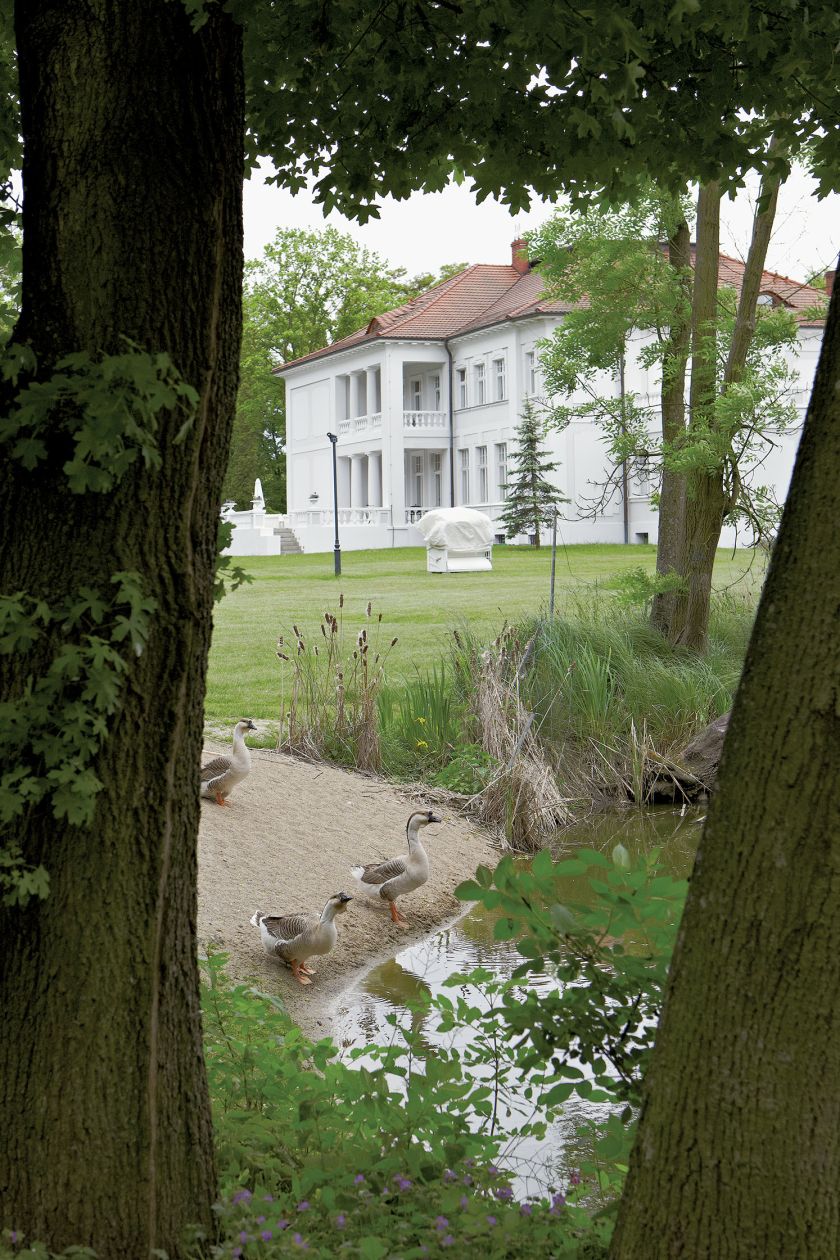 Trzecie życie pałacu: klasyka i nowoczesność