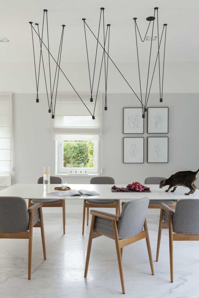 Ten dom w nowoczesnym stylu położony jest wśród brzóz i wygląda pięknie.