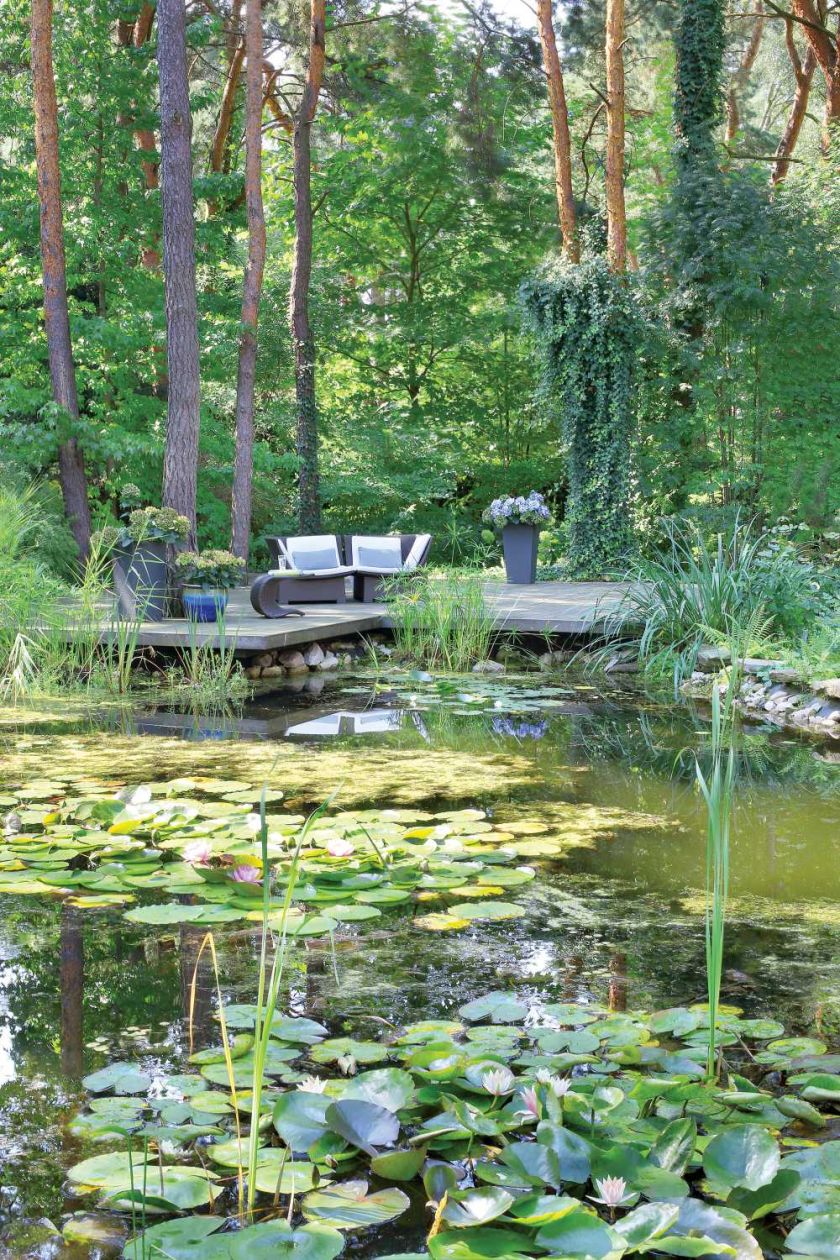 Ten nowoczesny dom znajduje się na skraju parku krajobrazowego. najważniejszą rolę odgrywa tu zieleń.