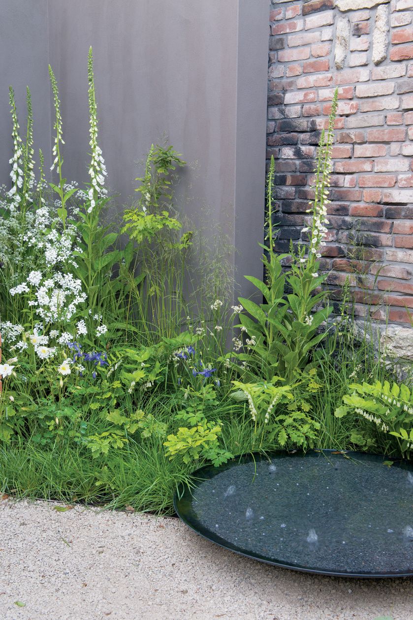 Oczko wśród klonów