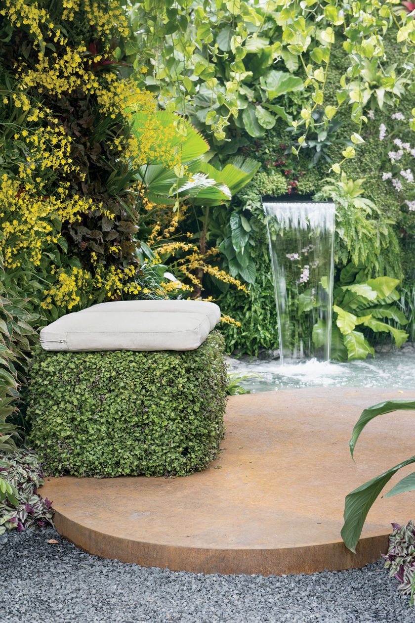 Oczko wśród klonów