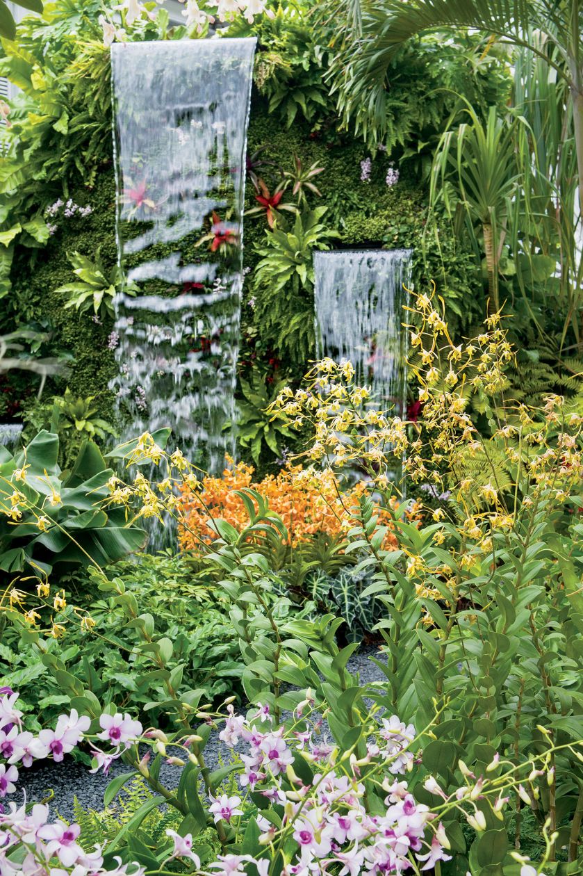 Oczko wśród klonów