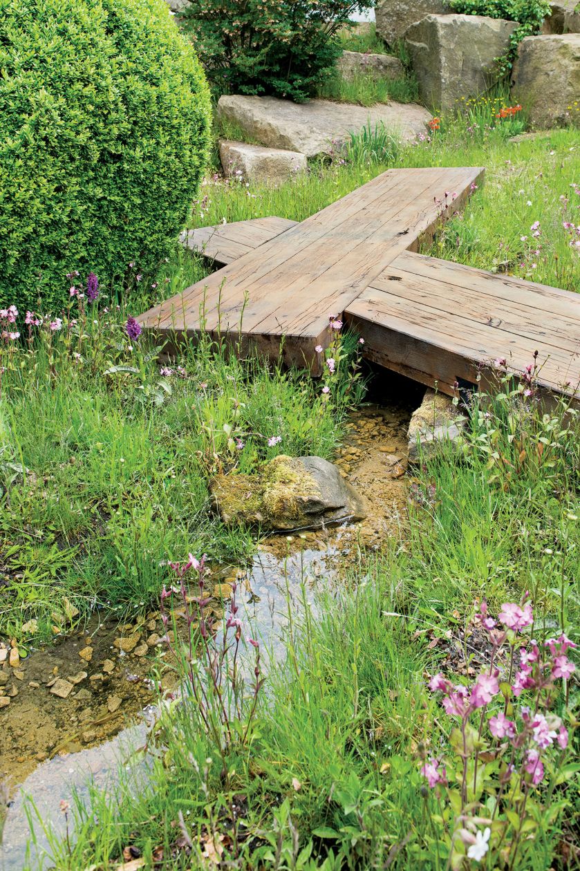 Oczko wśród klonów