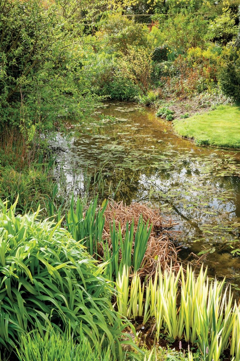 przedwiośnie w angielskim ogrodzie