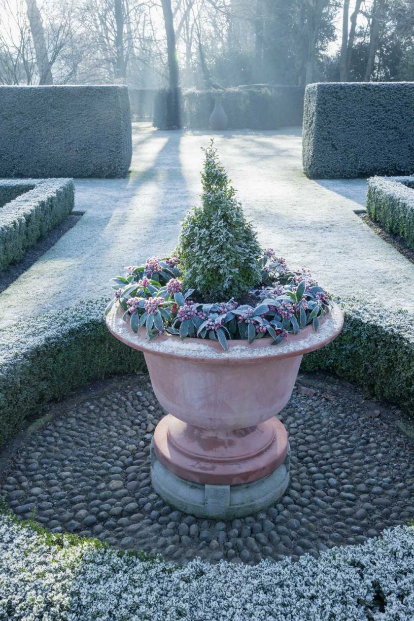 Zimowy ogród w hrabstwie Hertfordshire