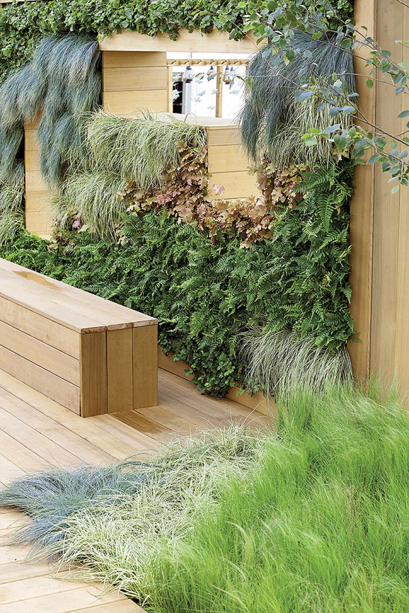 Paprocie, ozdobne trawki i żurawka.