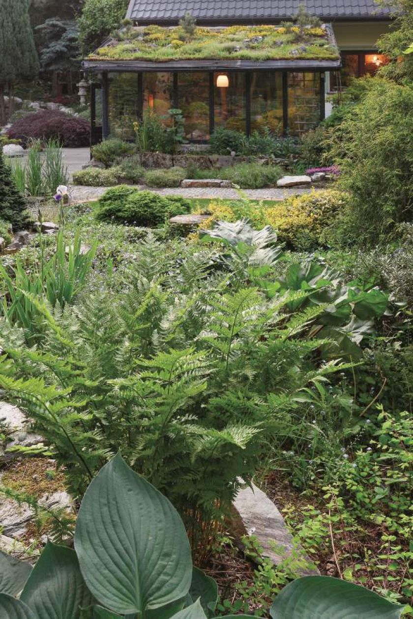 Ten ogród robi to, co chce: naturalnie zaaranżowany ogród blisko lasu