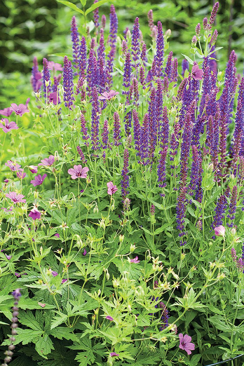 Praca w ogrodzie jest wspaniała zarówno dla ciała, jak i duszy.