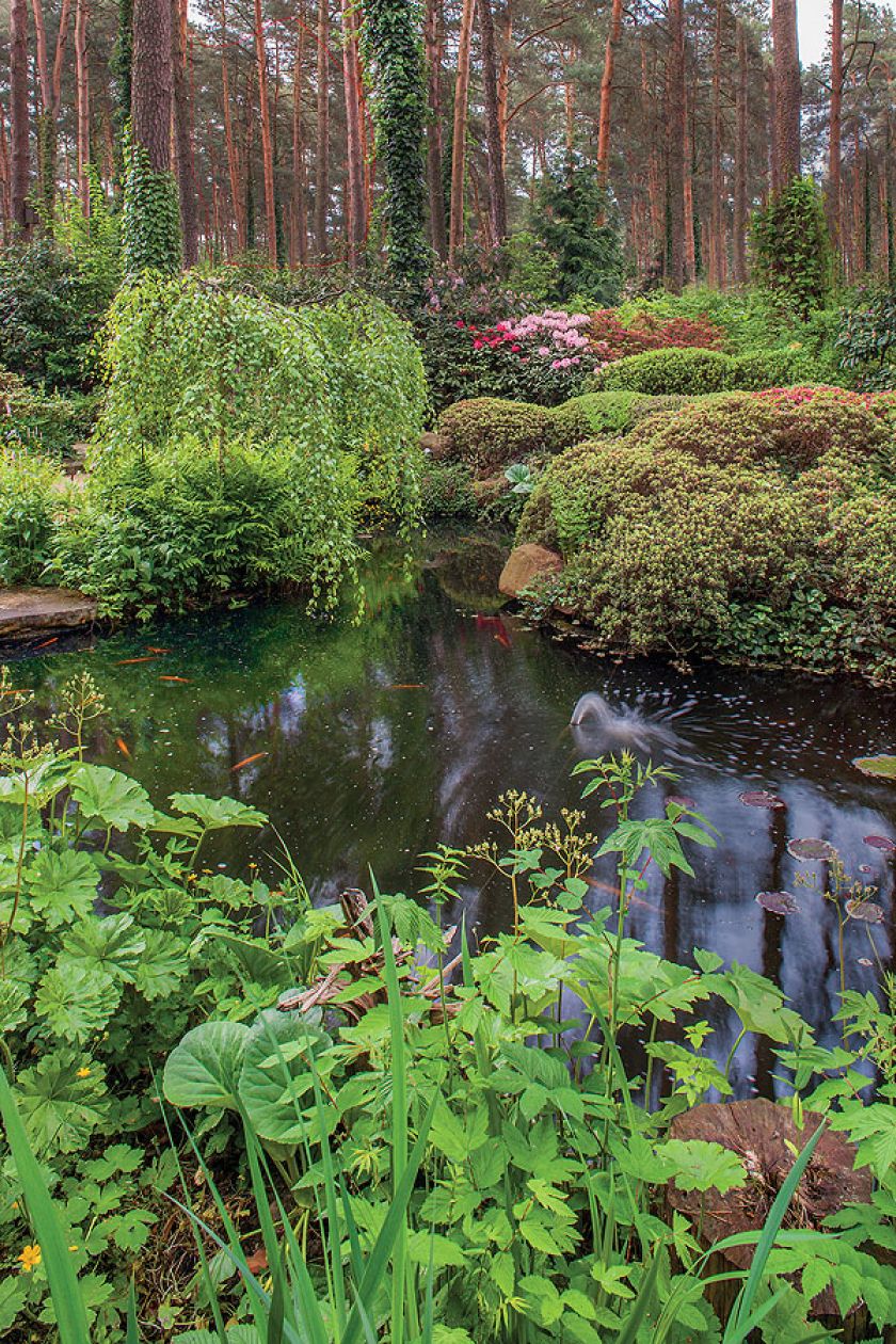 Ogród piękniejszy niż w angielskiej powieści