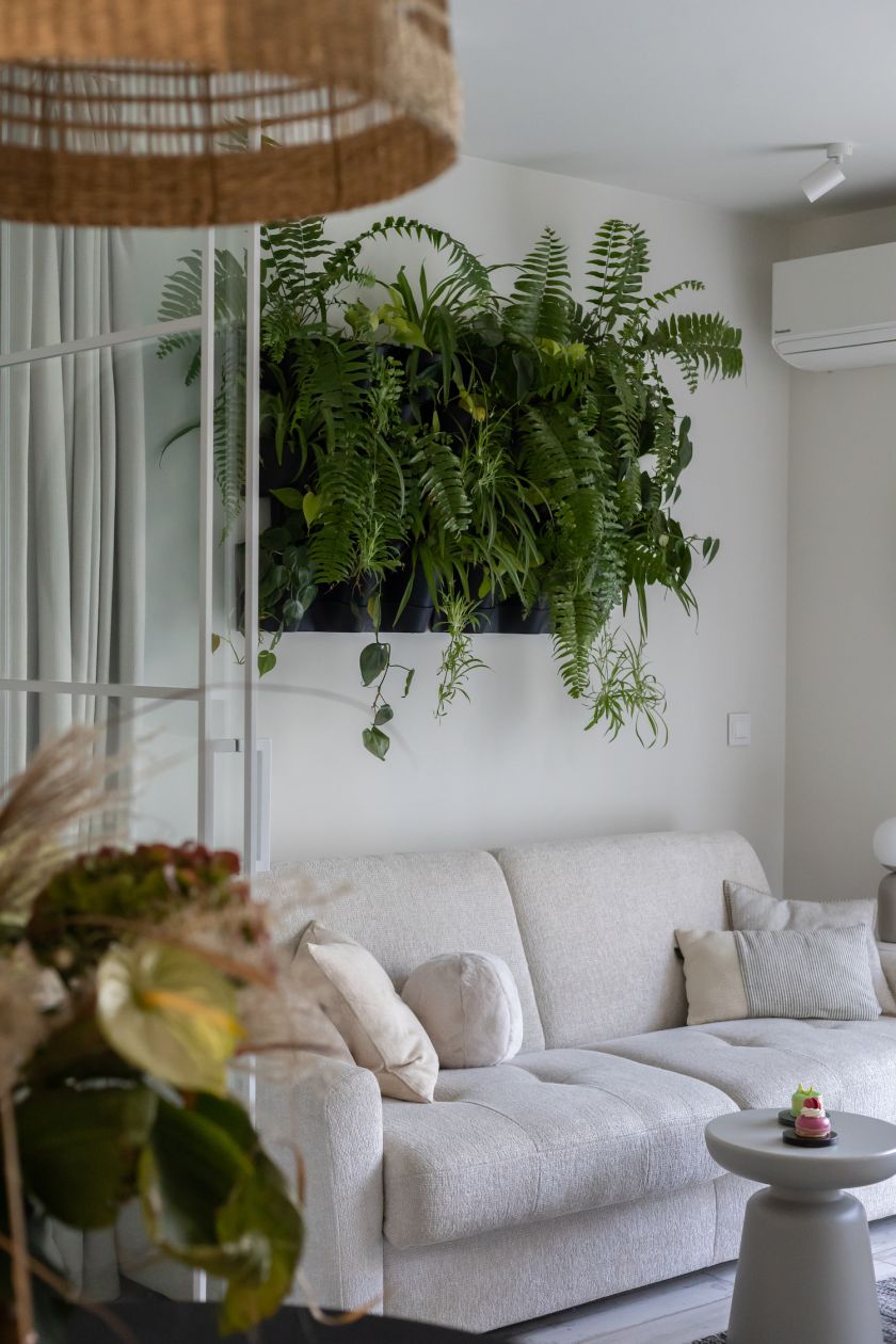 rośliny doniczkowe w salonie