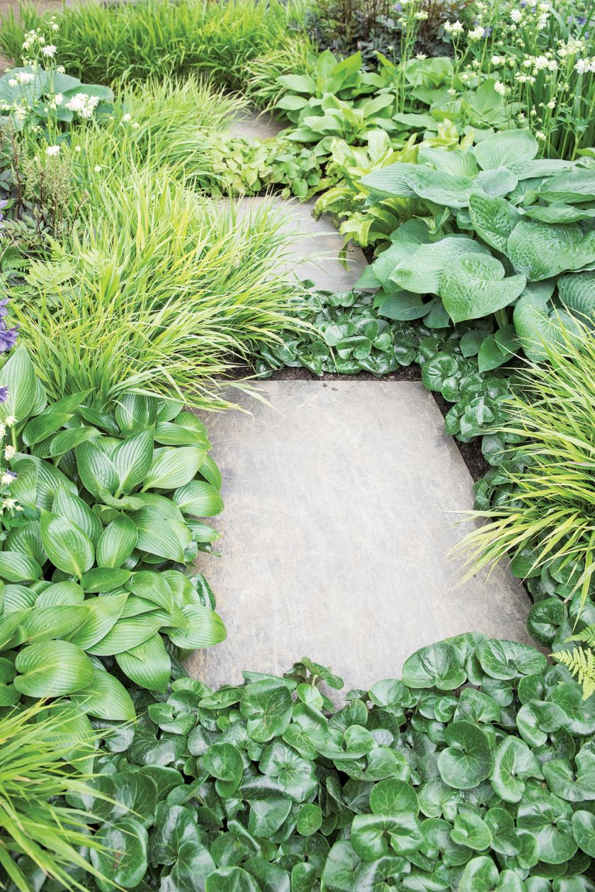 Ścieżki w ogrodzie – inspiracje, pomysły i zdjęcia