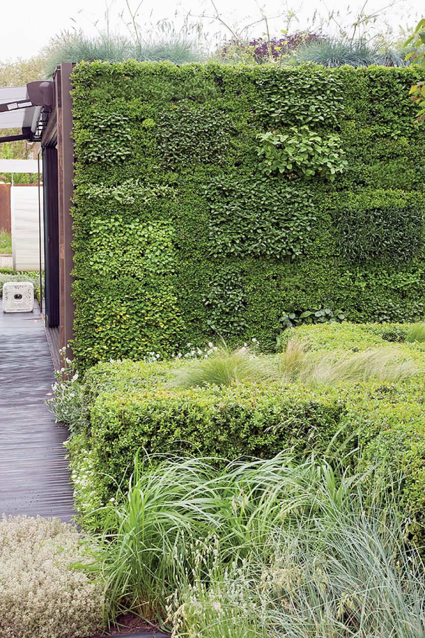 Ogród w centrum miasta