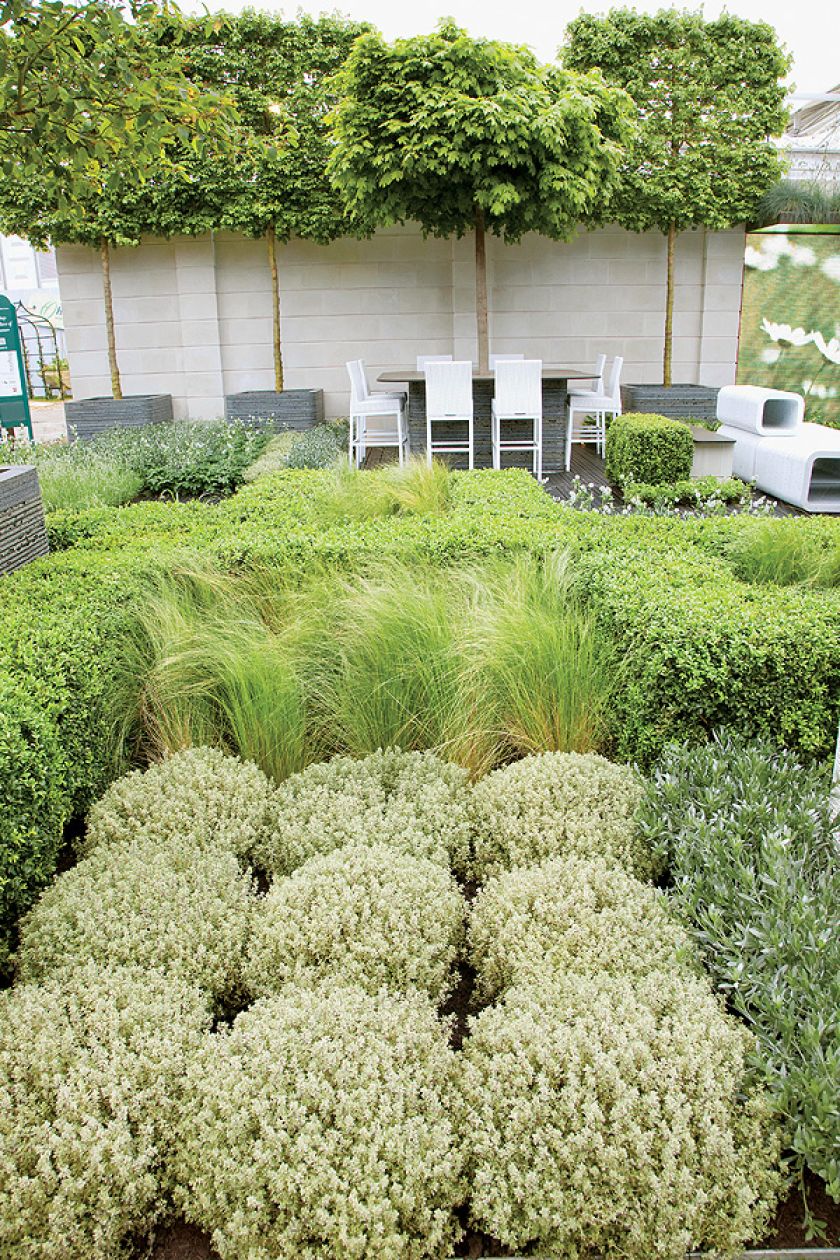 Ogród w centrum miasta