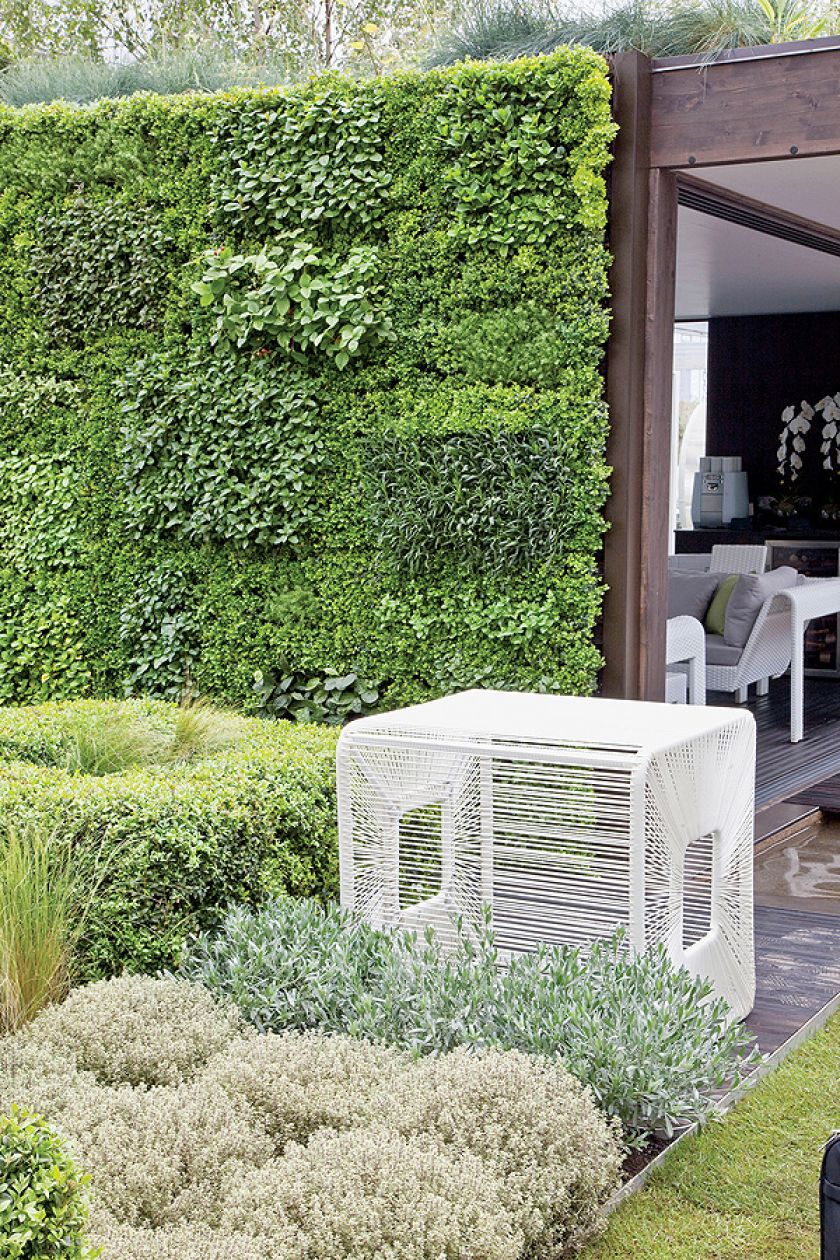 Ogród w centrum miasta